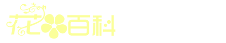 花百科 - 分享花卉养殖技巧与花卉百科知识